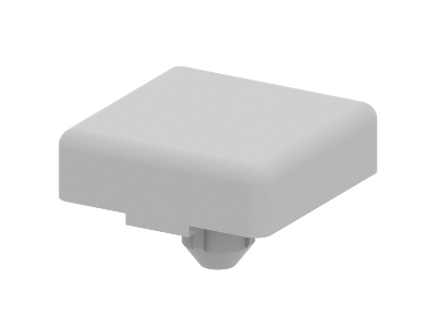 1.42.10202.1 - Afdekkap, 20x20